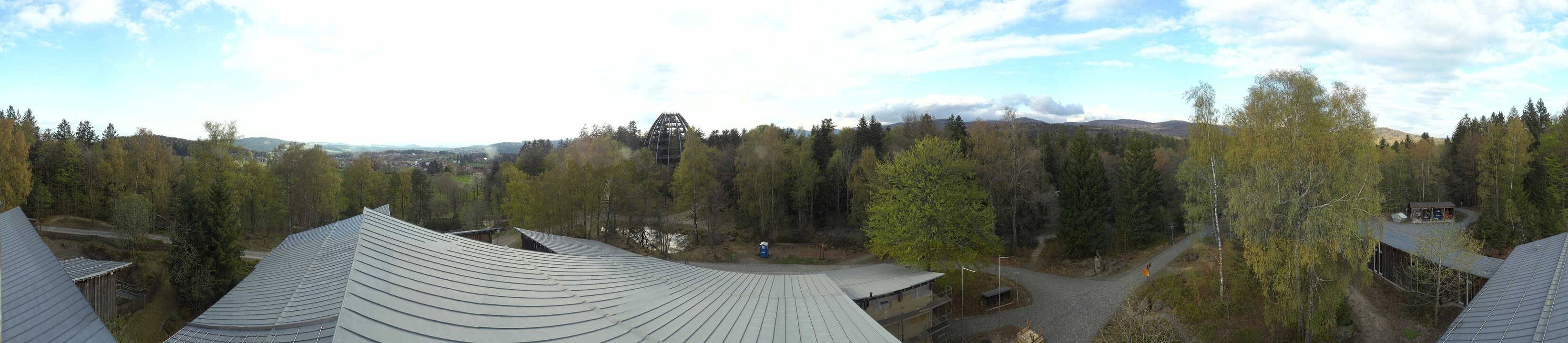 Archiv Foto Webcam Neuschönau - Baumwipfelpfad Bayerischer Wald