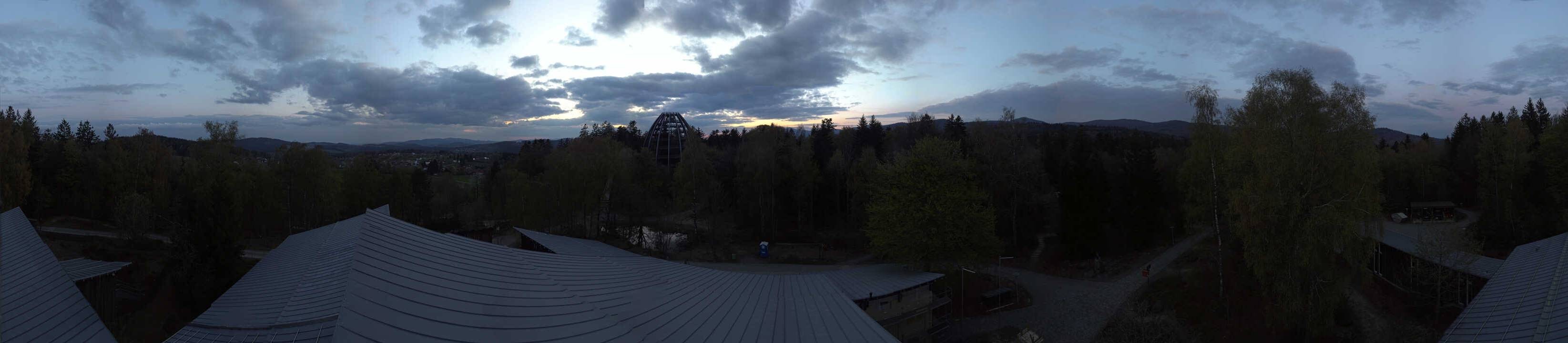 Archiv Foto Webcam Neuschönau - Baumwipfelpfad Bayerischer Wald