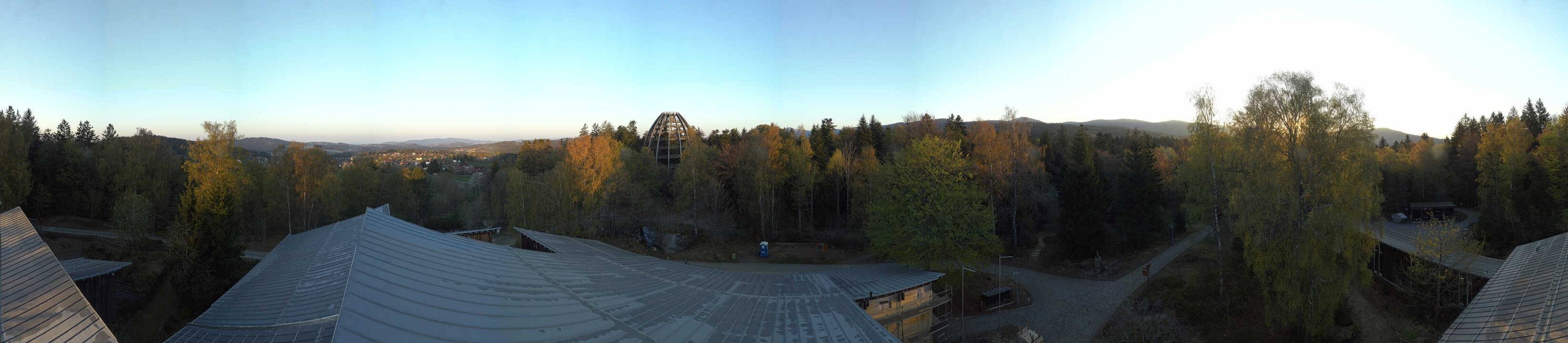 Archived image Webcam Neuschönau - Tree Top Walk Bavarian Forest