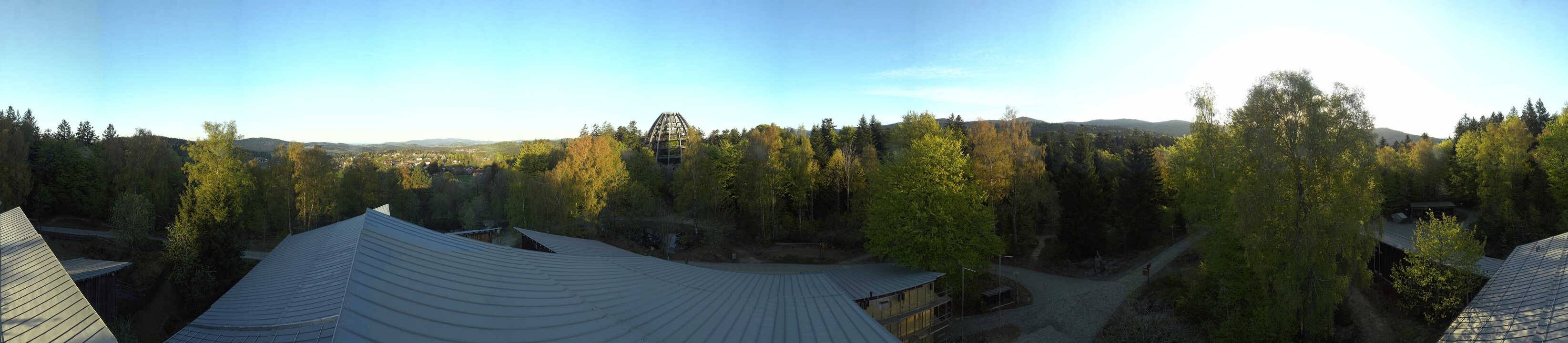 Archiv Foto Webcam Neuschönau - Baumwipfelpfad Bayerischer Wald