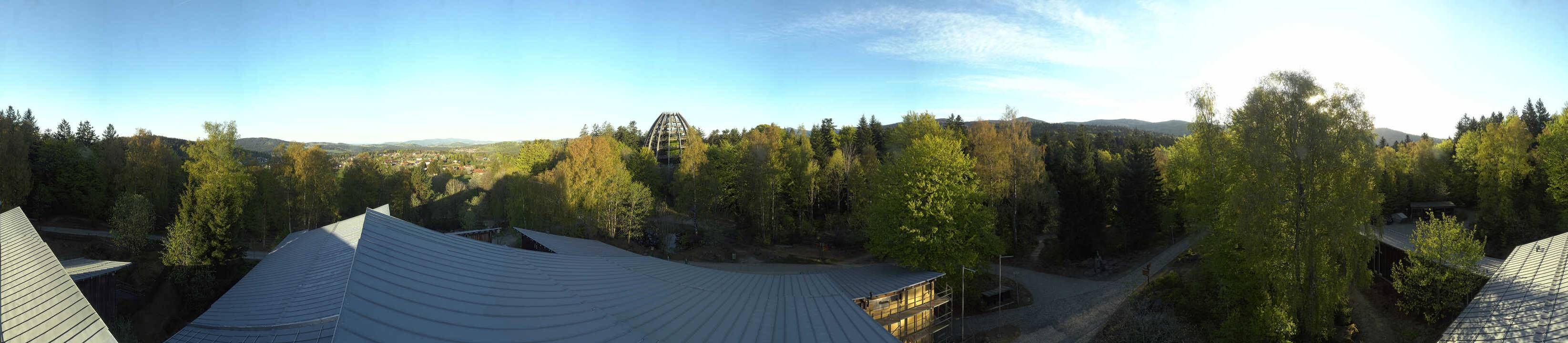 Archiv Foto Webcam Neuschönau - Baumwipfelpfad Bayerischer Wald