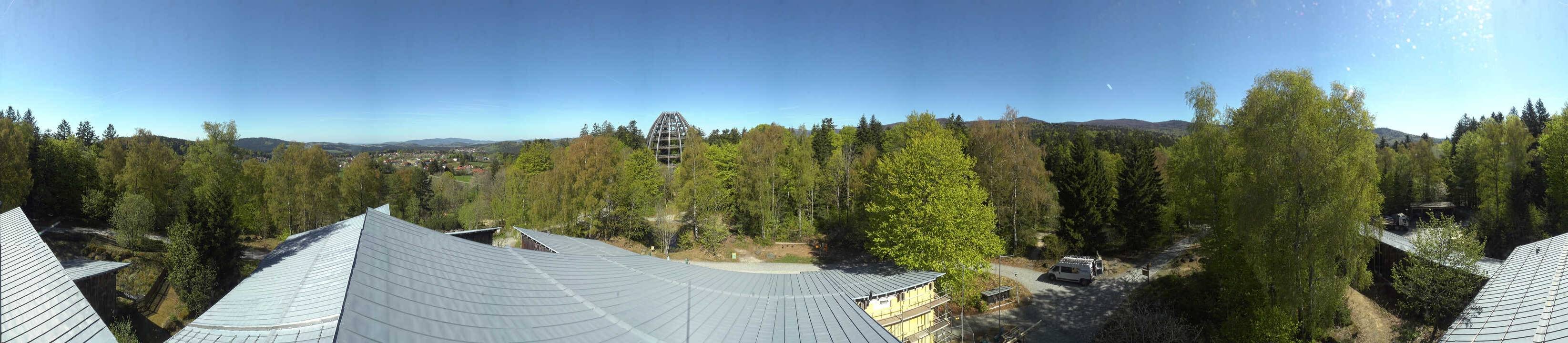 Archiv Foto Webcam Neuschönau - Baumwipfelpfad Bayerischer Wald