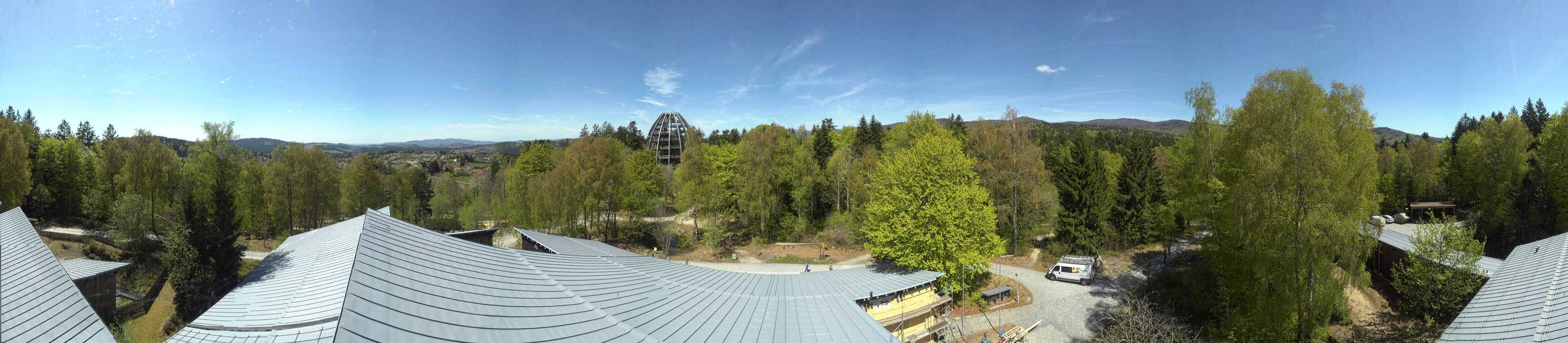 Archiv Foto Webcam Neuschönau - Baumwipfelpfad Bayerischer Wald