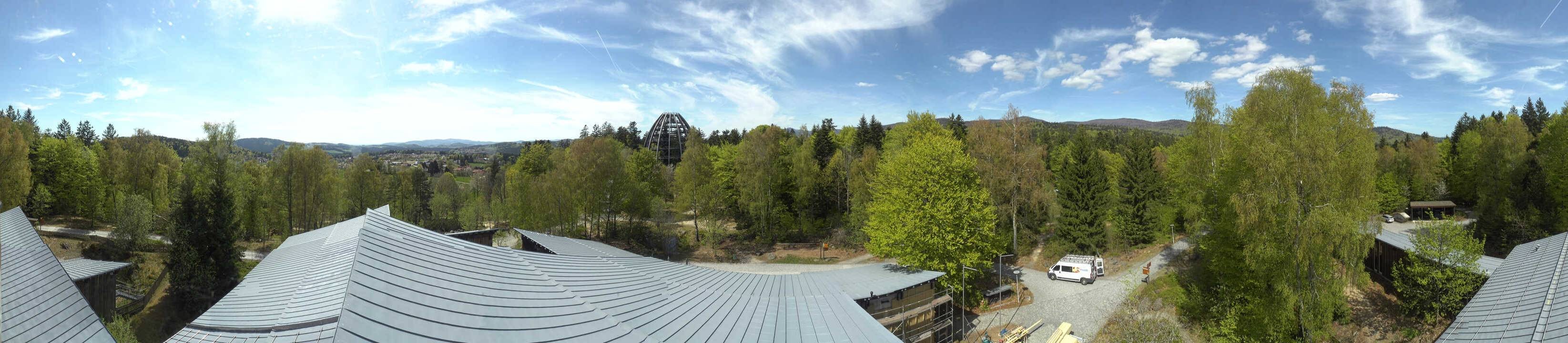 Archiv Foto Webcam Neuschönau - Baumwipfelpfad Bayerischer Wald