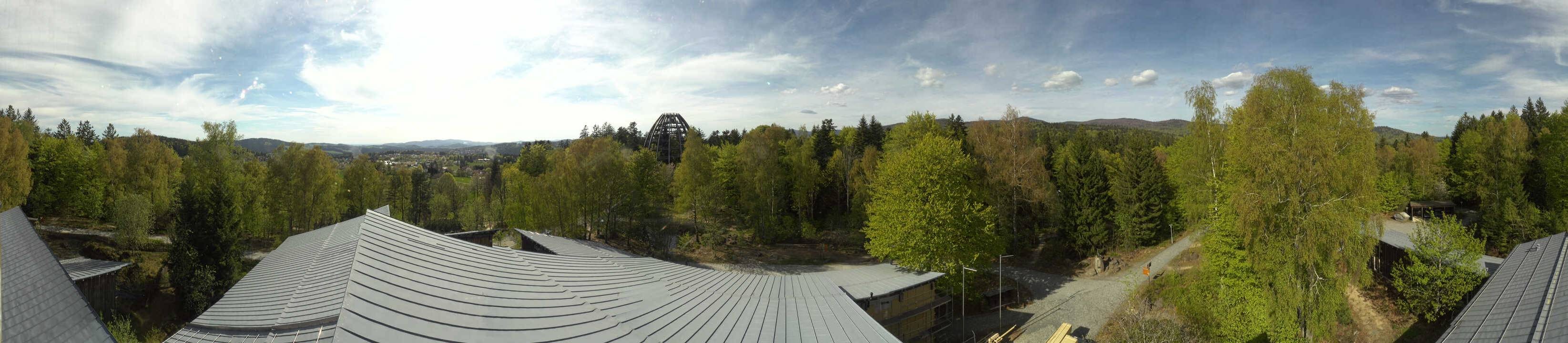 Archiv Foto Webcam Neuschönau - Baumwipfelpfad Bayerischer Wald