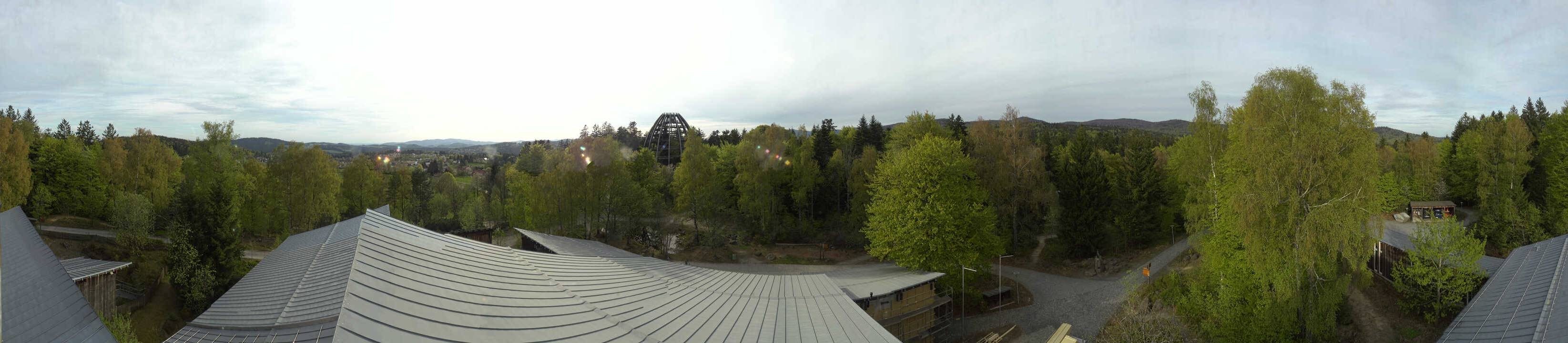 Archiv Foto Webcam Neuschönau - Baumwipfelpfad Bayerischer Wald