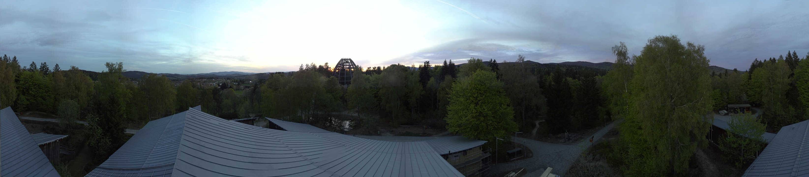 Archiv Foto Webcam Neuschönau - Baumwipfelpfad Bayerischer Wald