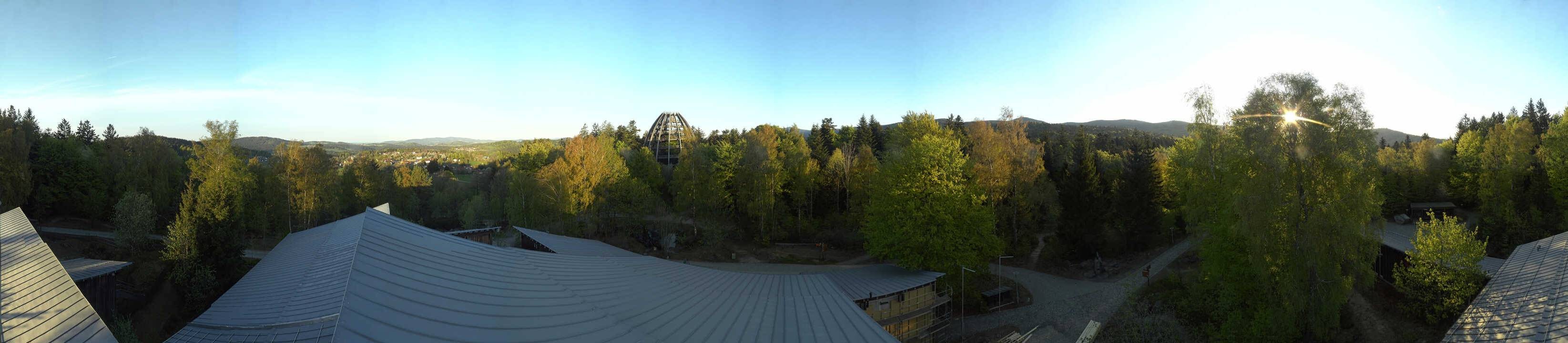 Archiv Foto Webcam Neuschönau - Baumwipfelpfad Bayerischer Wald