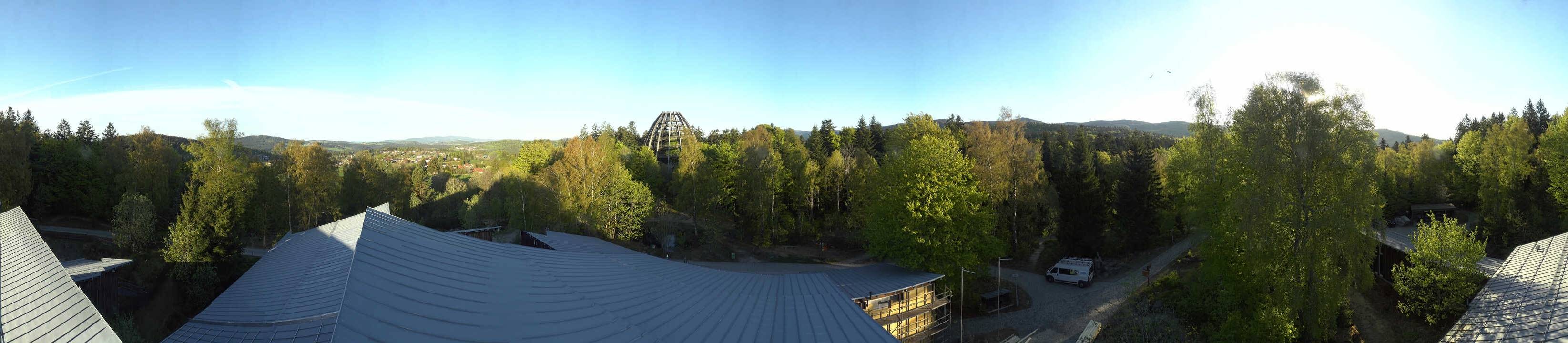 Archiv Foto Webcam Neuschönau - Baumwipfelpfad Bayerischer Wald