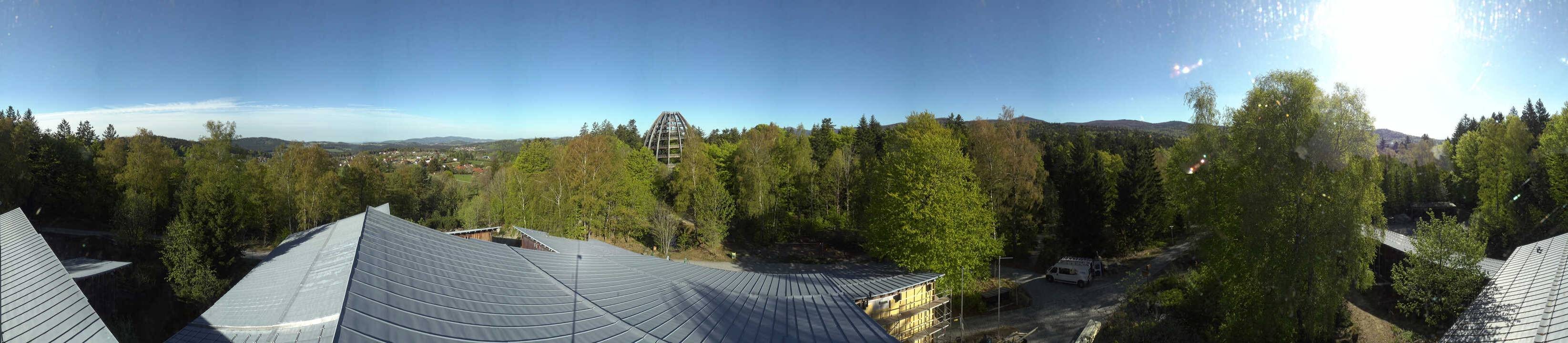 Archiv Foto Webcam Neuschönau - Baumwipfelpfad Bayerischer Wald