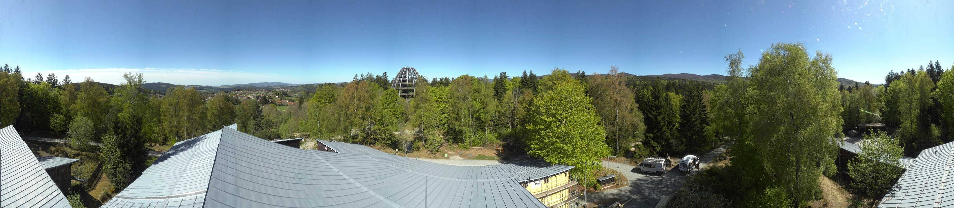 Archiv Foto Webcam Neuschönau - Baumwipfelpfad Bayerischer Wald