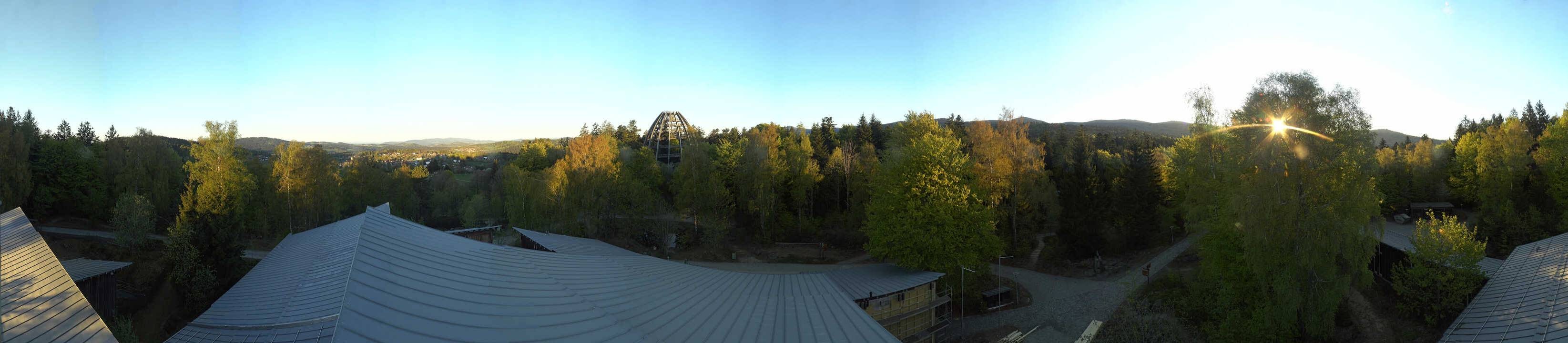 Archiv Foto Webcam Neuschönau - Baumwipfelpfad Bayerischer Wald