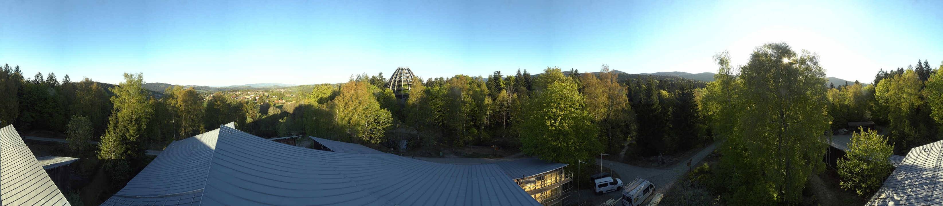 Archiv Foto Webcam Neuschönau - Baumwipfelpfad Bayerischer Wald