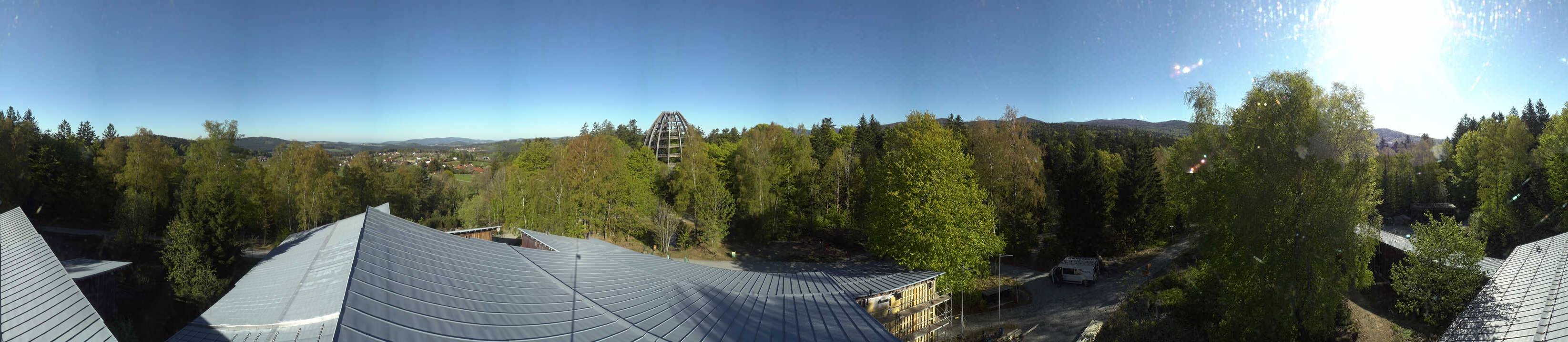 Archiv Foto Webcam Neuschönau - Baumwipfelpfad Bayerischer Wald