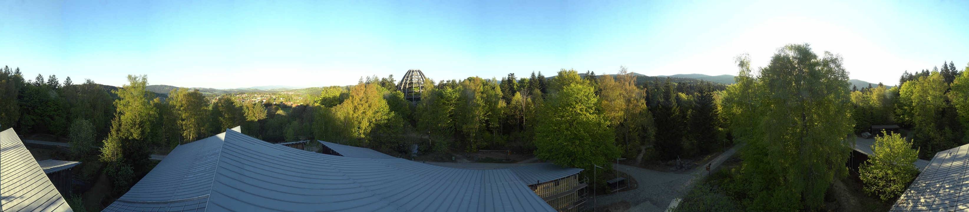 Archiv Foto Webcam Neuschönau - Baumwipfelpfad Bayerischer Wald
