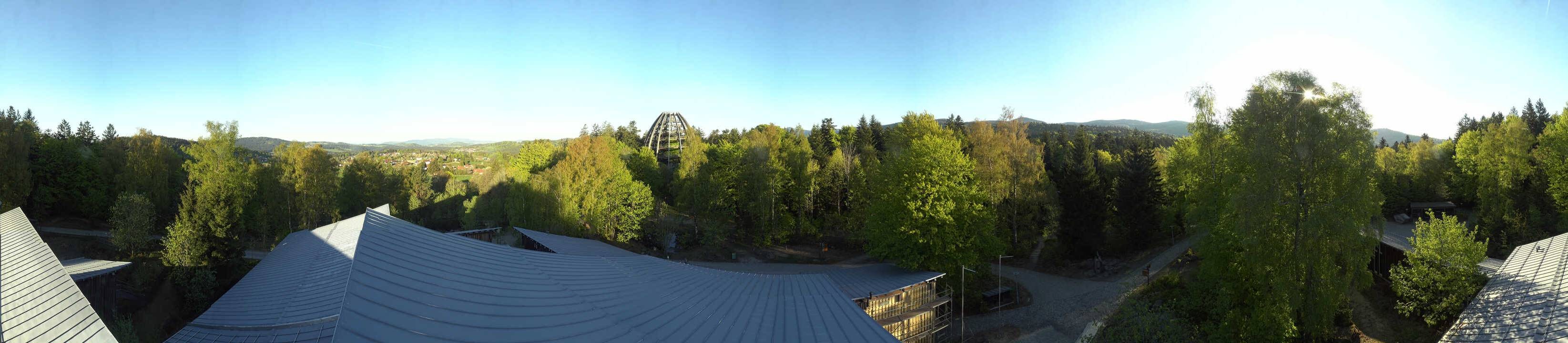 Archiv Foto Webcam Neuschönau - Baumwipfelpfad Bayerischer Wald