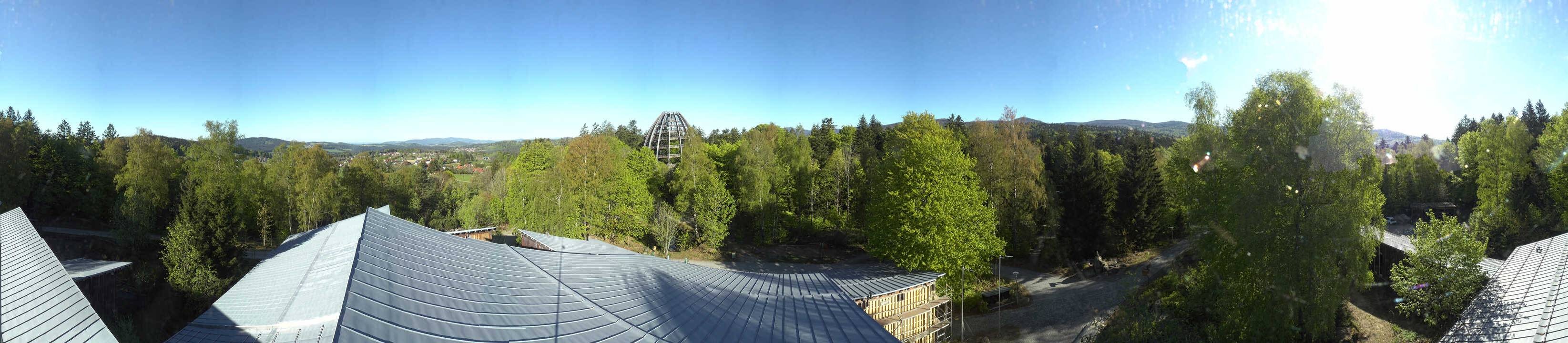 Archiv Foto Webcam Neuschönau - Baumwipfelpfad Bayerischer Wald