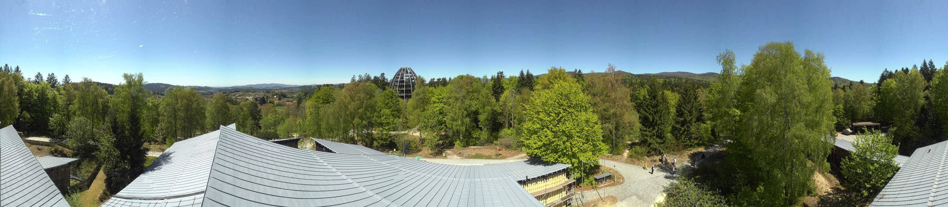 Archiv Foto Webcam Neuschönau - Baumwipfelpfad Bayerischer Wald