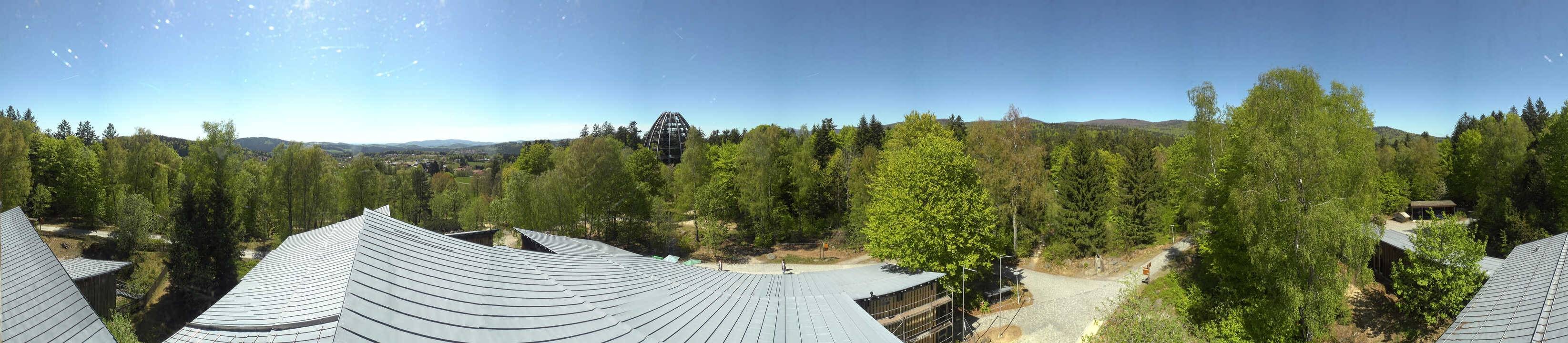 Archiv Foto Webcam Neuschönau - Baumwipfelpfad Bayerischer Wald