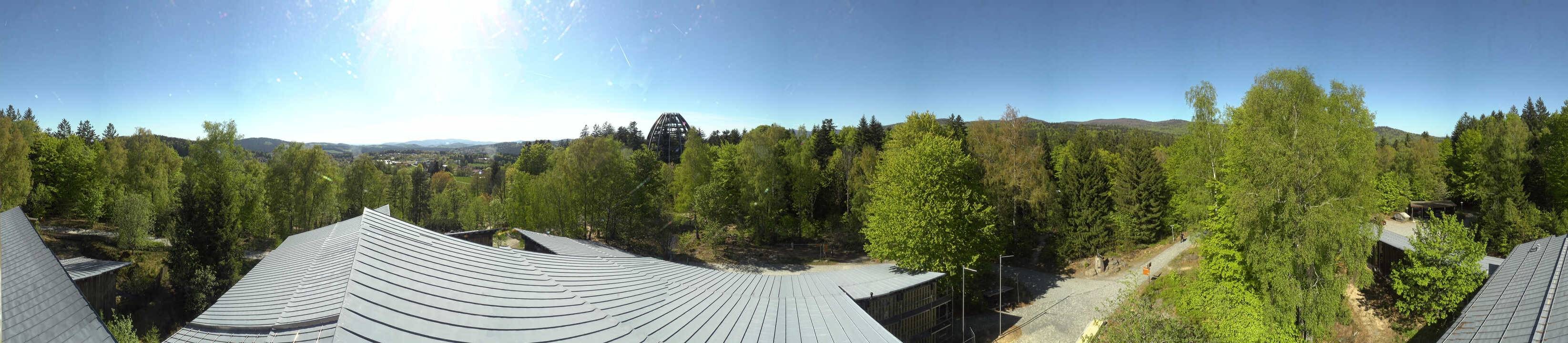 Archiv Foto Webcam Neuschönau - Baumwipfelpfad Bayerischer Wald