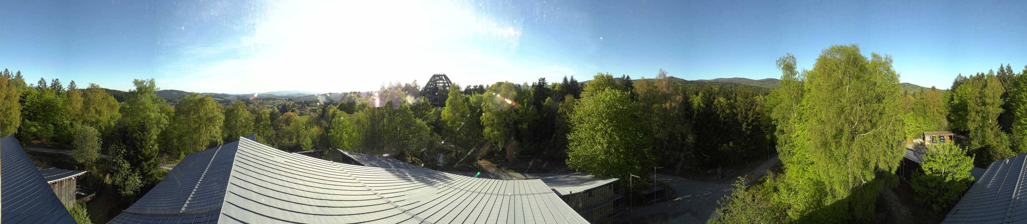 Archiv Foto Webcam Neuschönau - Baumwipfelpfad Bayerischer Wald