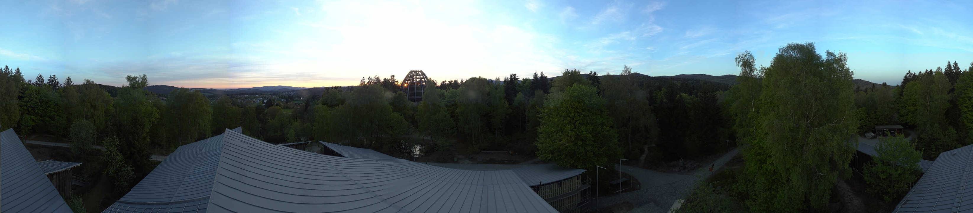 Archiv Foto Webcam Neuschönau - Baumwipfelpfad Bayerischer Wald