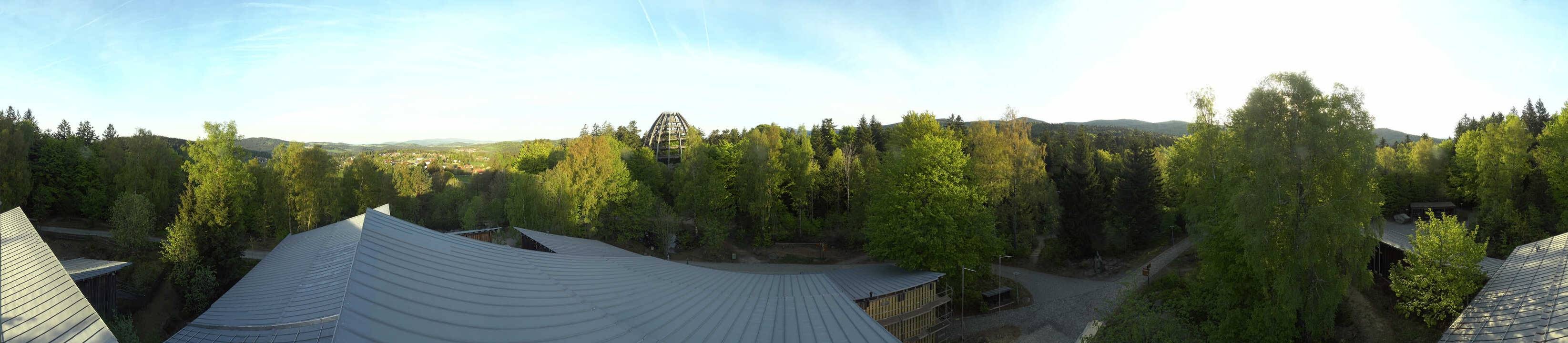 Archiv Foto Webcam Neuschönau - Baumwipfelpfad Bayerischer Wald