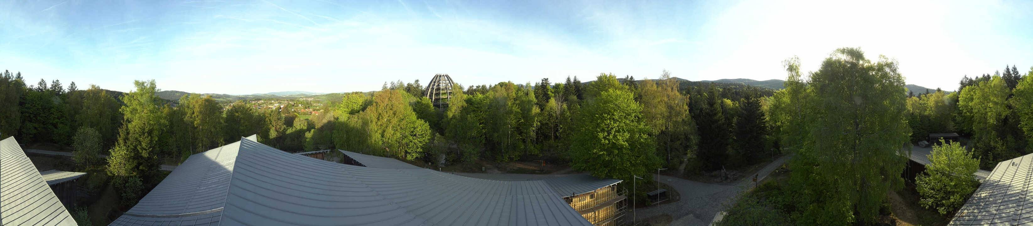 Archiv Foto Webcam Neuschönau - Baumwipfelpfad Bayerischer Wald