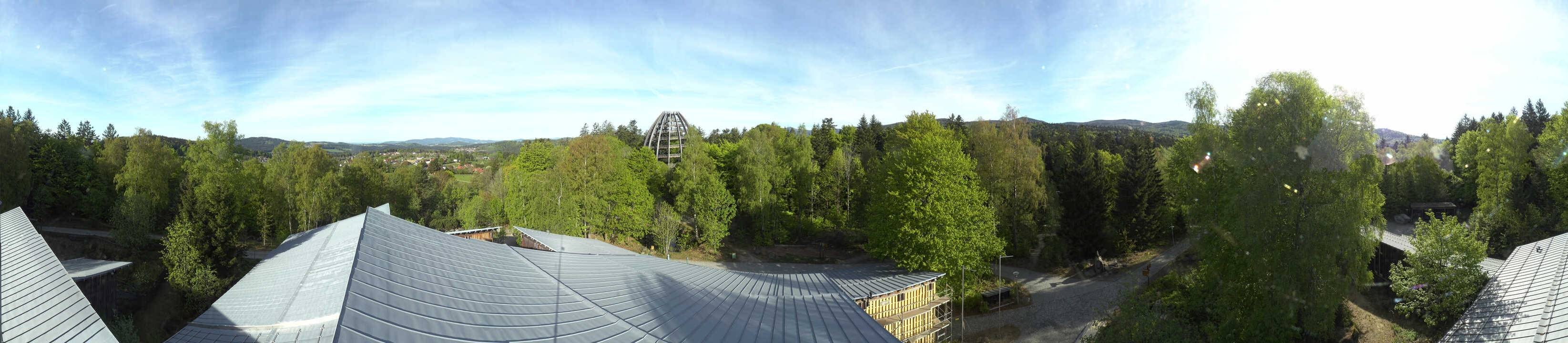 Archiv Foto Webcam Neuschönau - Baumwipfelpfad Bayerischer Wald