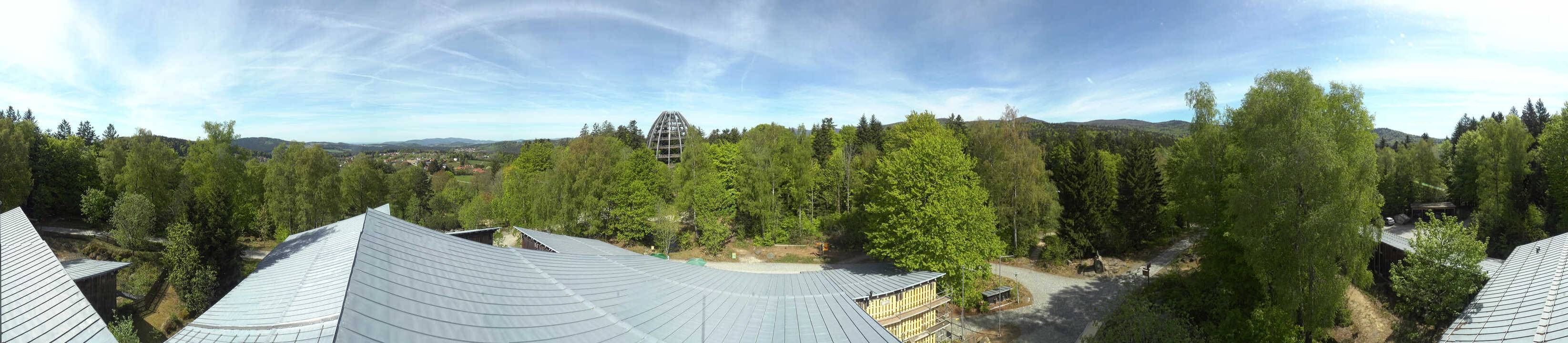 Archiv Foto Webcam Neuschönau - Baumwipfelpfad Bayerischer Wald