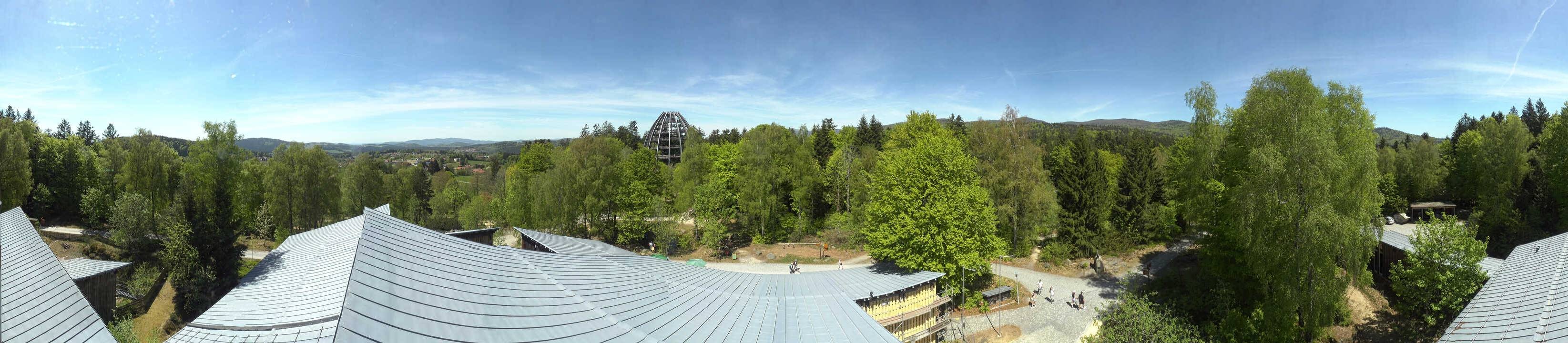 Archiv Foto Webcam Neuschönau - Baumwipfelpfad Bayerischer Wald