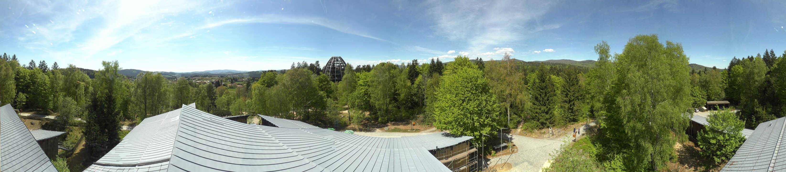 Archiv Foto Webcam Neuschönau - Baumwipfelpfad Bayerischer Wald