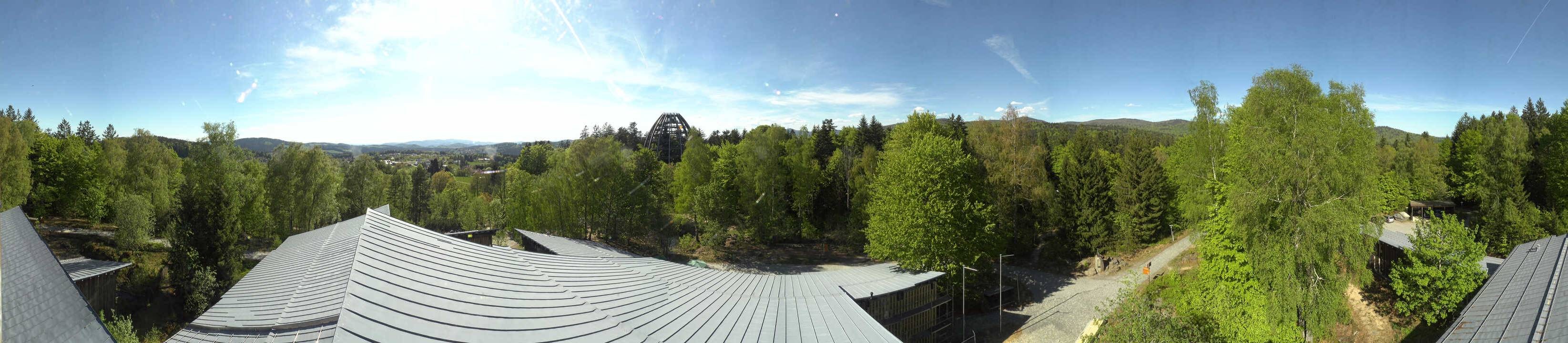 Archiv Foto Webcam Neuschönau - Baumwipfelpfad Bayerischer Wald