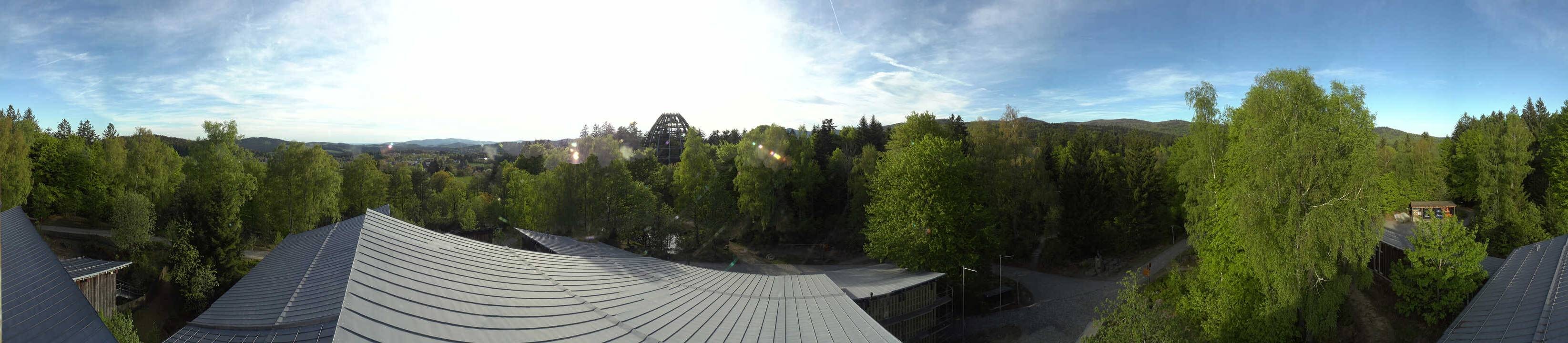 Archiv Foto Webcam Neuschönau - Baumwipfelpfad Bayerischer Wald