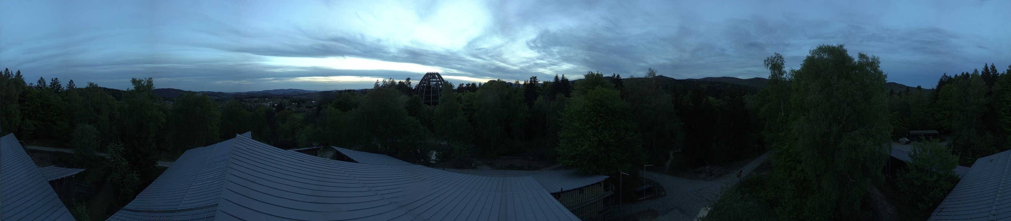 Archiv Foto Webcam Neuschönau - Baumwipfelpfad Bayerischer Wald