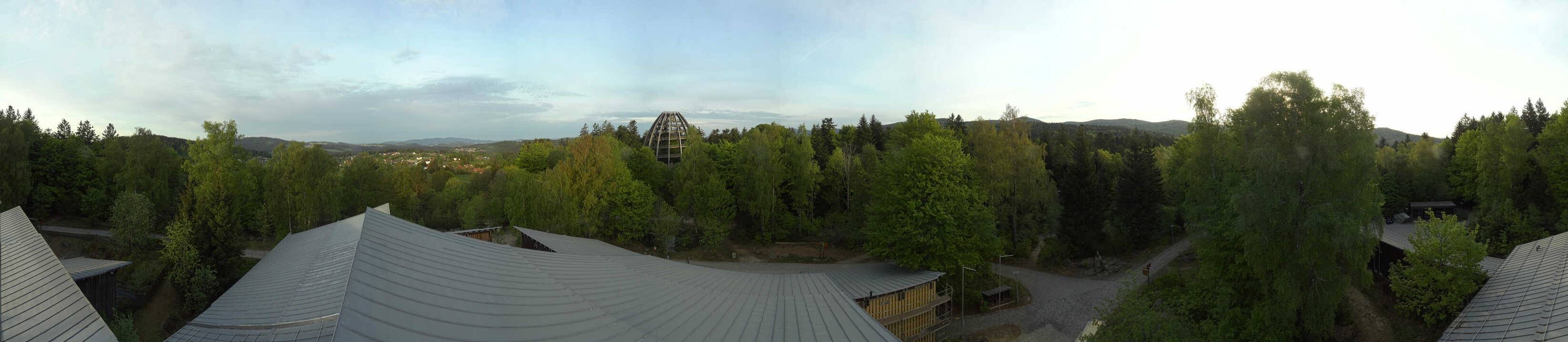 Archiv Foto Webcam Neuschönau - Baumwipfelpfad Bayerischer Wald