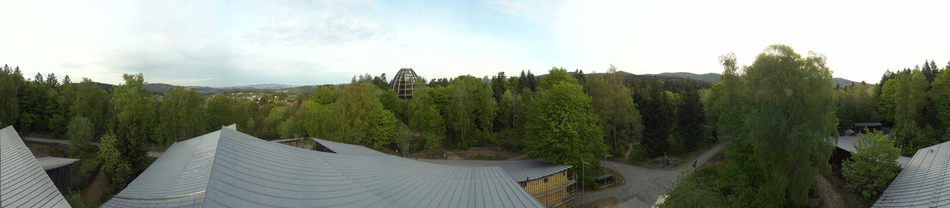Archiv Foto Webcam Neuschönau - Baumwipfelpfad Bayerischer Wald
