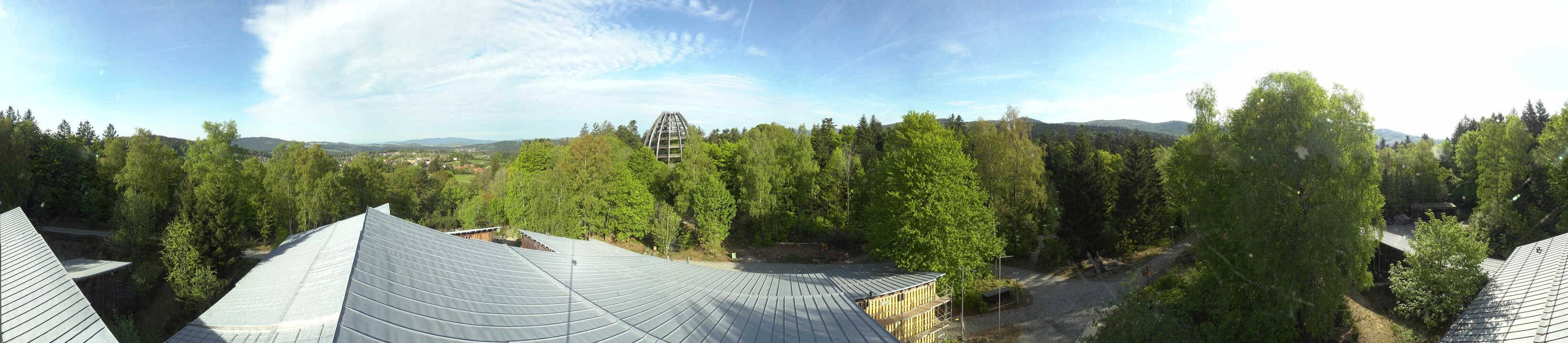 Archiv Foto Webcam Neuschönau - Baumwipfelpfad Bayerischer Wald