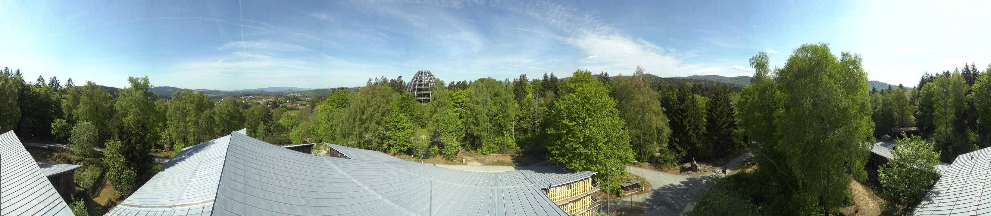 Archiv Foto Webcam Neuschönau - Baumwipfelpfad Bayerischer Wald