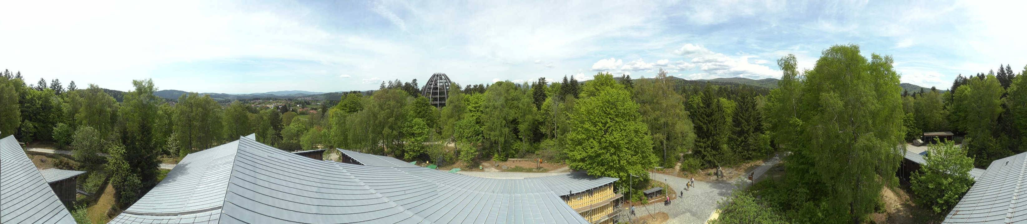 Archiv Foto Webcam Neuschönau - Baumwipfelpfad Bayerischer Wald