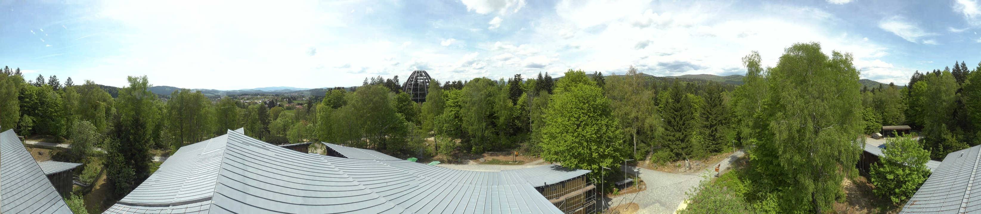 Archiv Foto Webcam Neuschönau - Baumwipfelpfad Bayerischer Wald