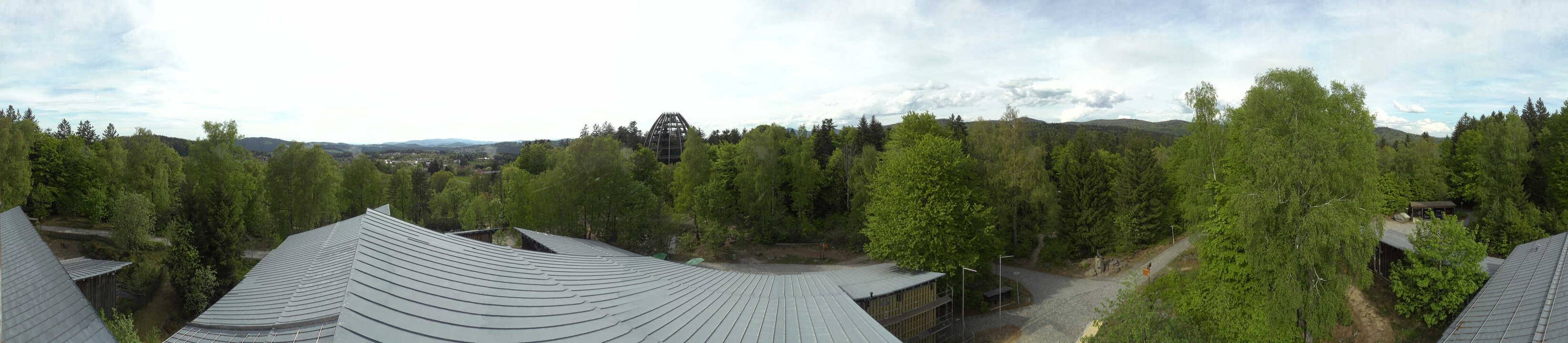 Archiv Foto Webcam Neuschönau - Baumwipfelpfad Bayerischer Wald