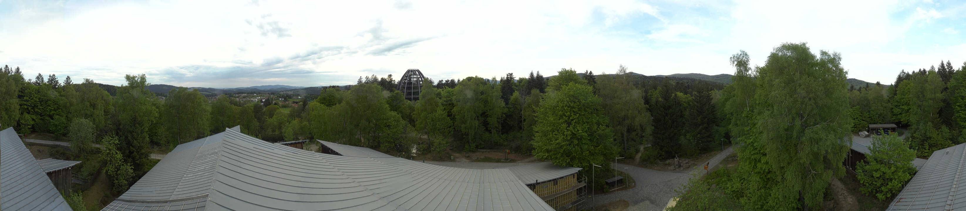 Archiv Foto Webcam Neuschönau - Baumwipfelpfad Bayerischer Wald