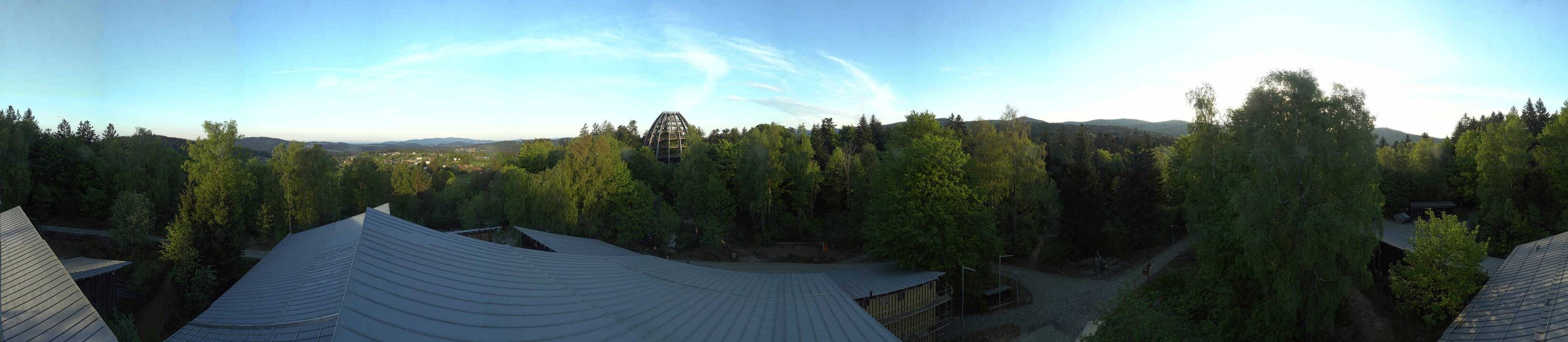 Archiv Foto Webcam Neuschönau - Baumwipfelpfad Bayerischer Wald