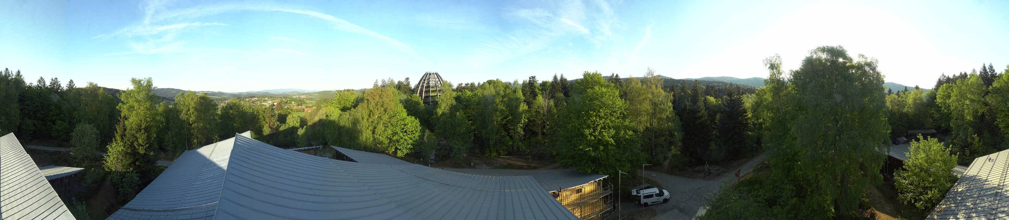 Archiv Foto Webcam Neuschönau - Baumwipfelpfad Bayerischer Wald