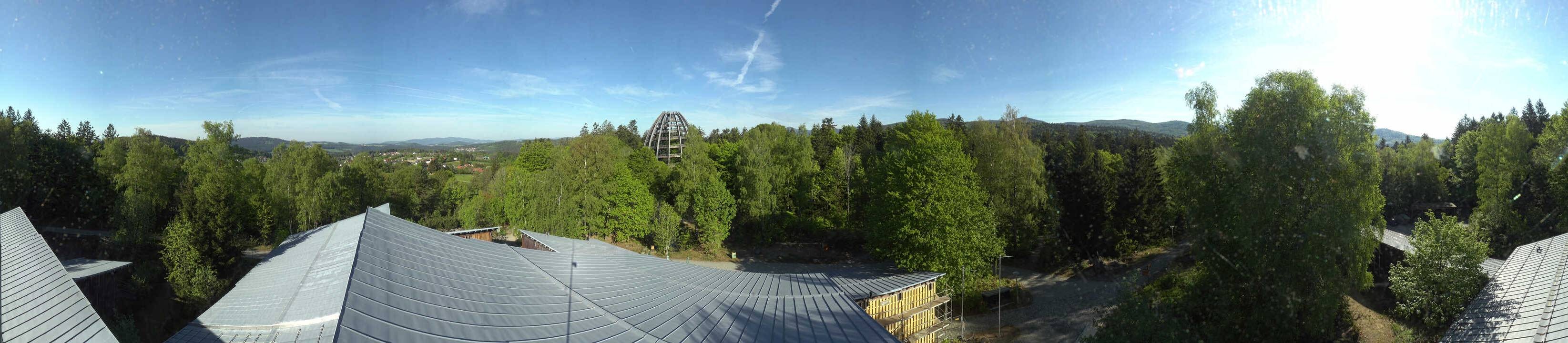Archiv Foto Webcam Neuschönau - Baumwipfelpfad Bayerischer Wald