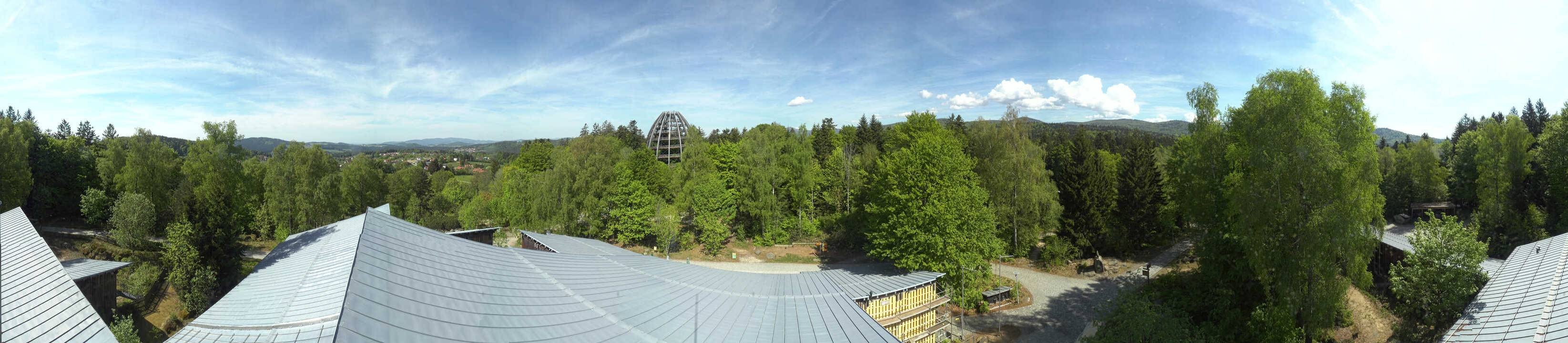 Archiv Foto Webcam Neuschönau - Baumwipfelpfad Bayerischer Wald