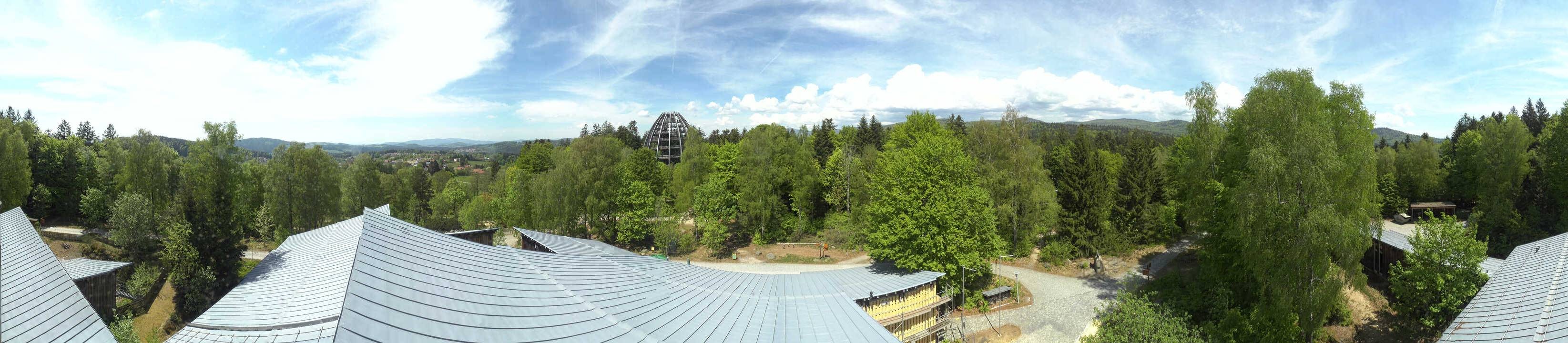 Archiv Foto Webcam Neuschönau - Baumwipfelpfad Bayerischer Wald