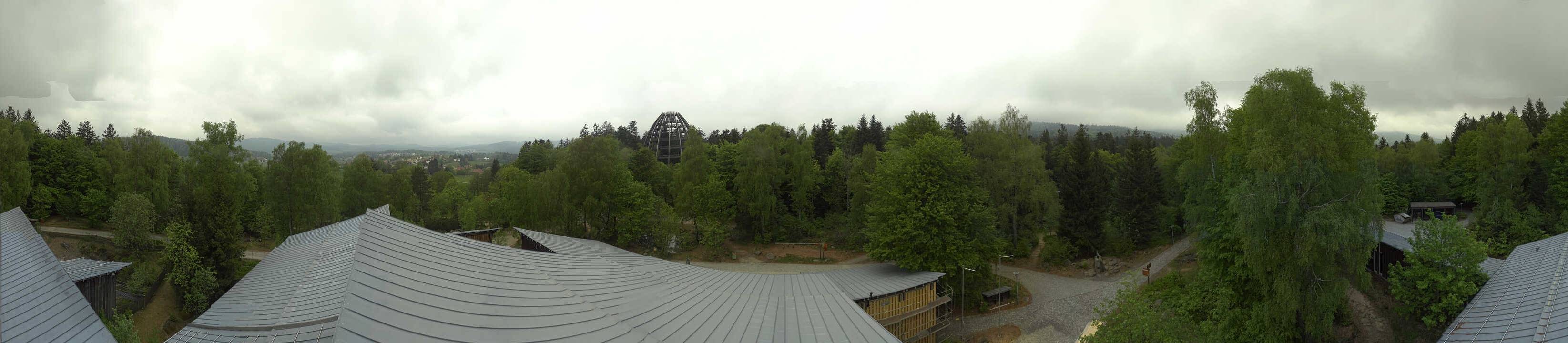 Archived image Webcam Neuschönau - Tree Top Walk Bavarian Forest