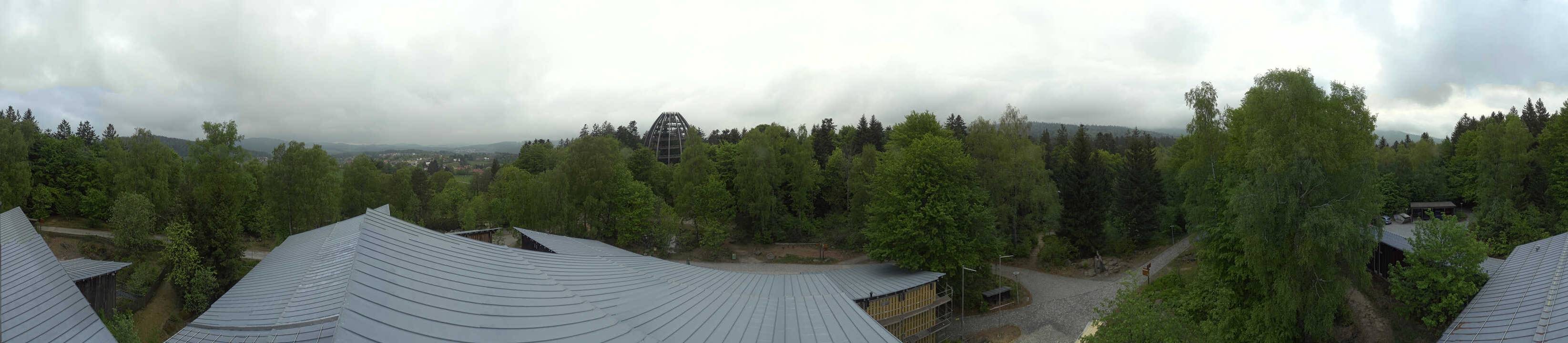 Archived image Webcam Neuschönau - Tree Top Walk Bavarian Forest